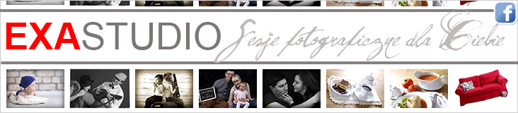 Baner2