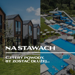 na stawach